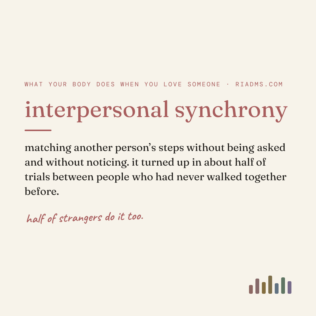 interpersonal synchrony, defined: matching another person’s steps without being asked and without noticing. it turned up in about half of trials between people who had never walked together before.