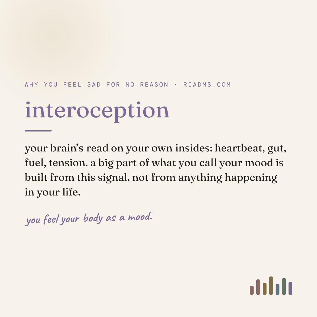 interoception, defined: your brain’s read on your own insides: heartbeat, gut, fuel, tension. a big part of what you call your mood is built from this signal, not from anything happening in your life.