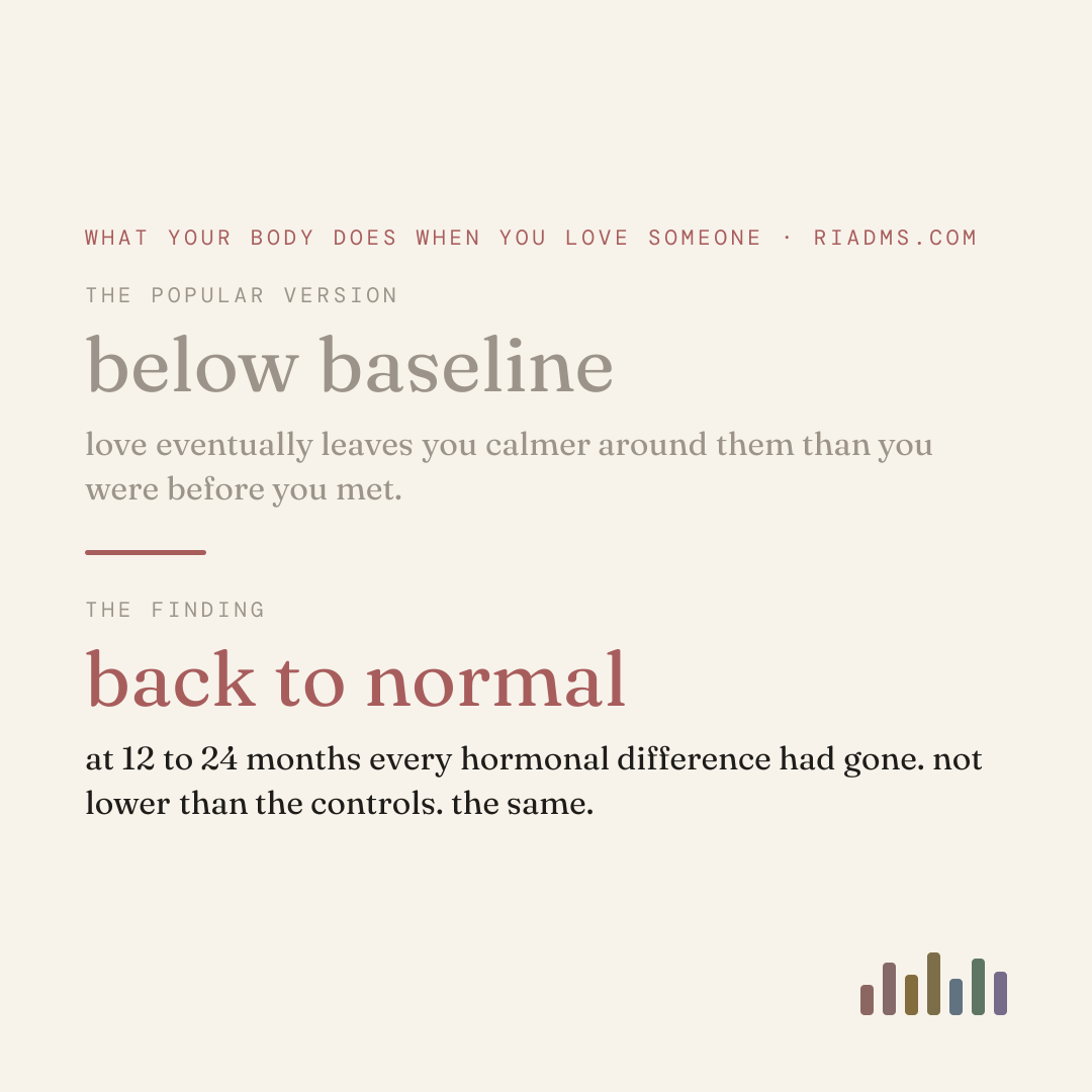 early love raises cortisol, and the popular story says it later settles below your baseline. when the same people were re-tested 12 to 24 months on, every hormonal difference had gone back to the level of everybody else.